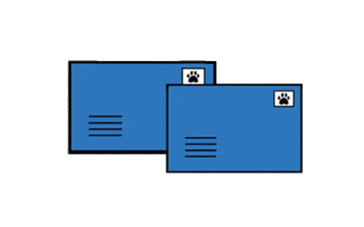 The Fundamentals of Pet Parasite Prevention