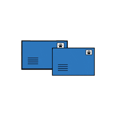 The Fundamentals of Pet Parasite Prevention