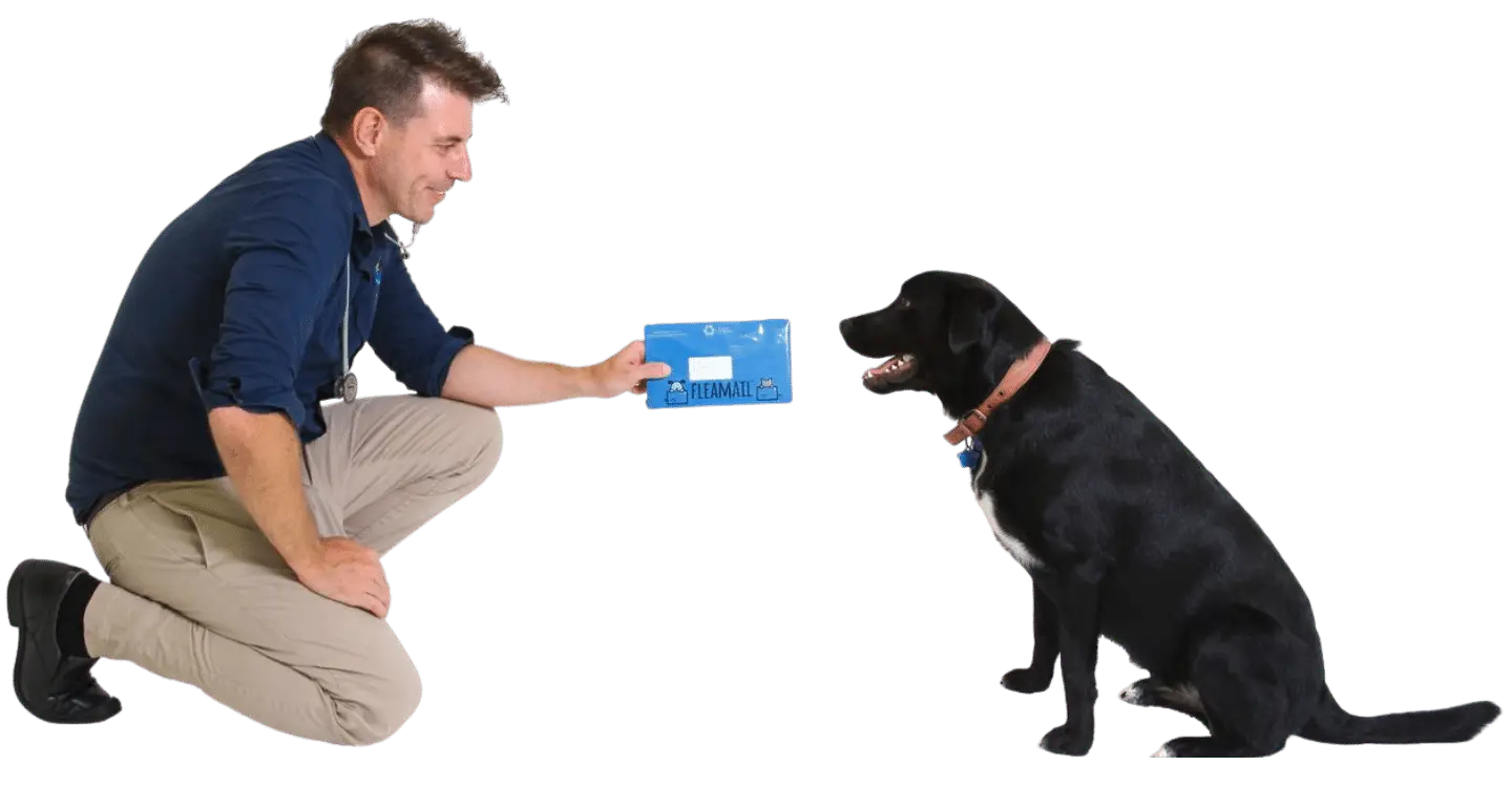 banner-image banner-image