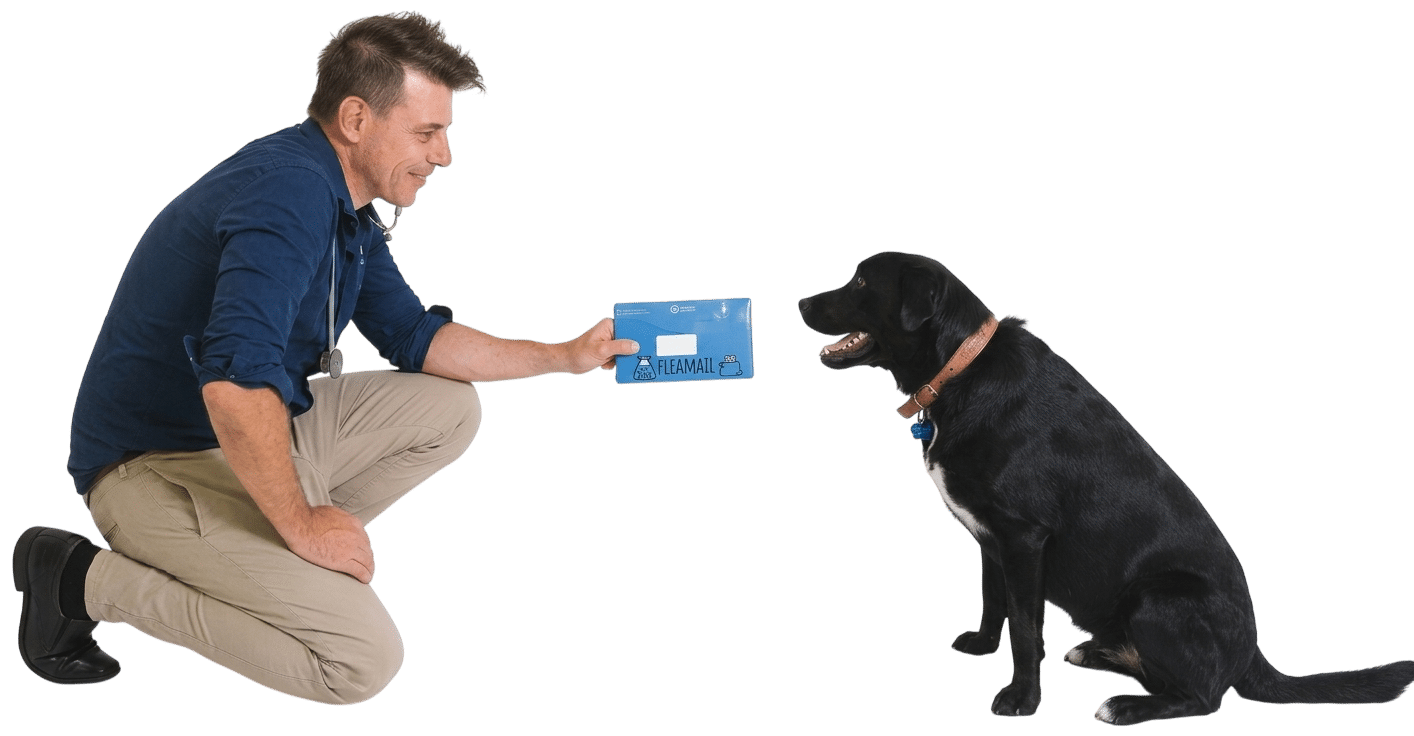 Fleamail monthly package for a dog